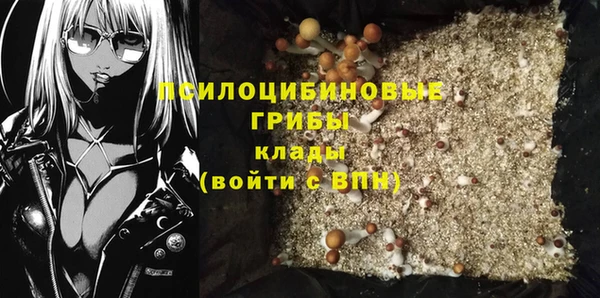 амф Богданович