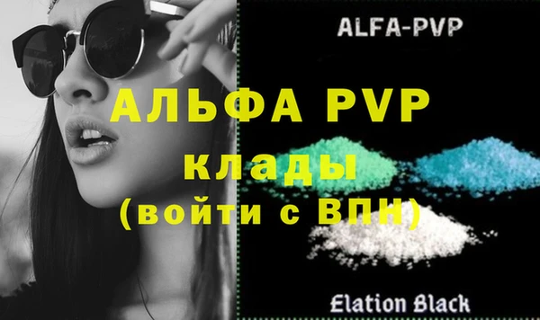 амф Богданович