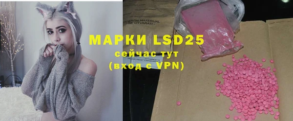 mdpv Богородицк