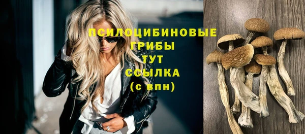амф Богданович
