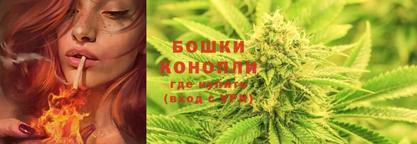 ПСИЛОЦИБИНОВЫЕ ГРИБЫ Белоозёрский