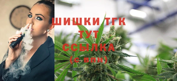 mdpv Богородицк