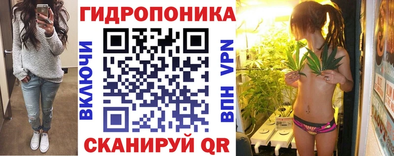 Бошки Шишки конопля  Медвежьегорск 